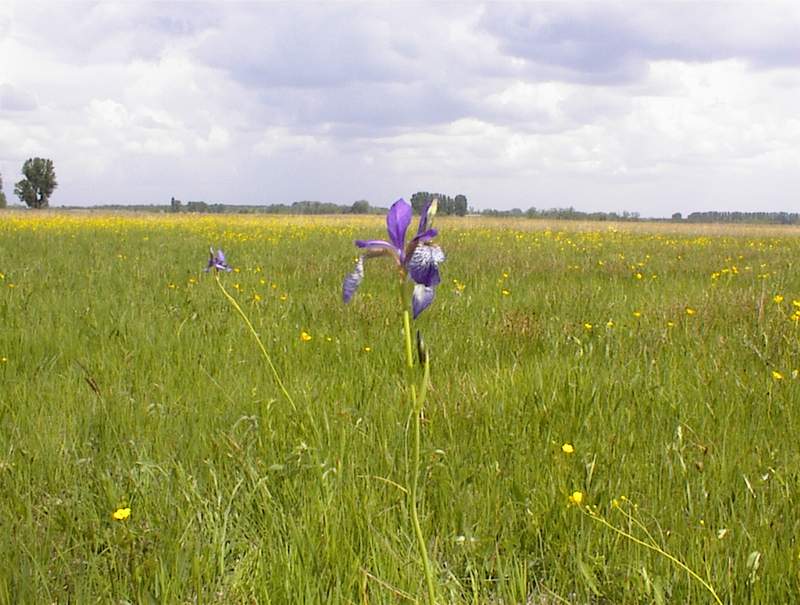TURA 006.jpg